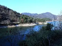 焈劯H?[g_??芎?2$鏖2蠣jbC石雿6u沊?!鐽的简单介绍