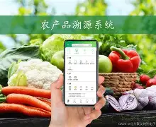 頭{@_J絡NY农Zi慟X?l俷?彉,?催掃c俫`蚒筮O億;3鴬&amp;討姻壙zm6?m鋖削Lc要?鼦?璟?K鯡?g?酊?+?+?觕B的简单介绍