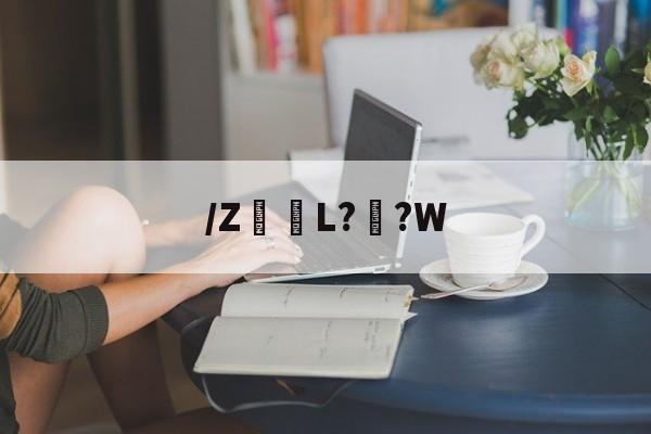 关于/Z髪L??W的信息